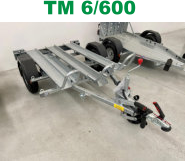 TM 6/600