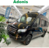 Adonis